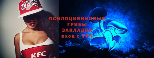 сатива Алексеевка