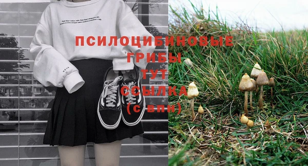 прущая мука Коряжма