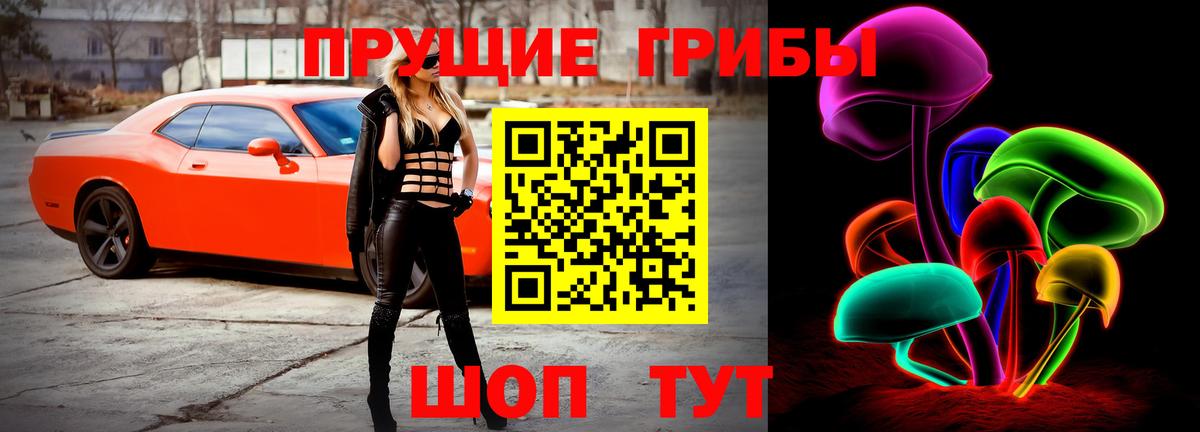 Белгород  Псилоцибиновые грибы мицелий  Вход с VPN 